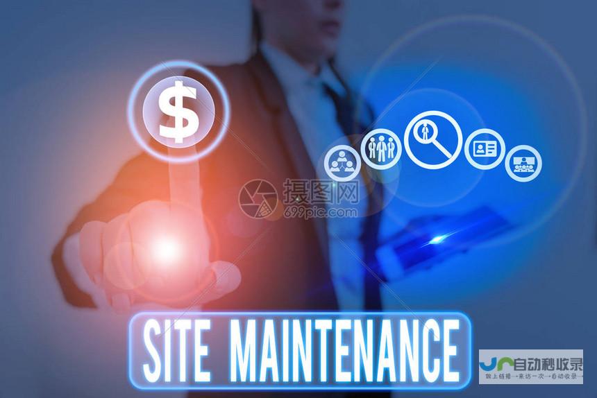 网站维护专家：保障您的在线业务稳定与成功
